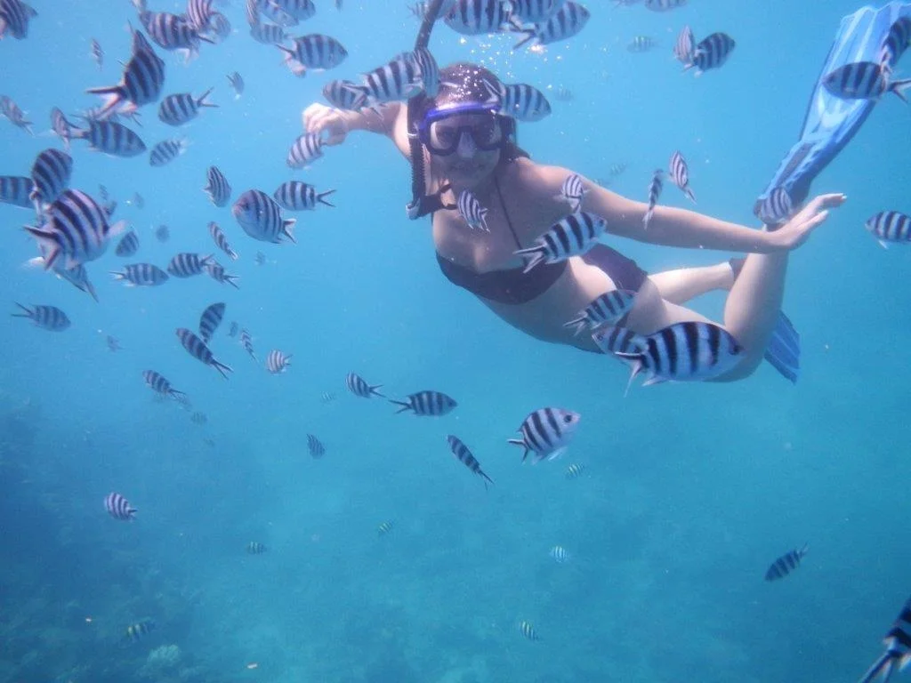 Fiji Tropical Adventure 2023